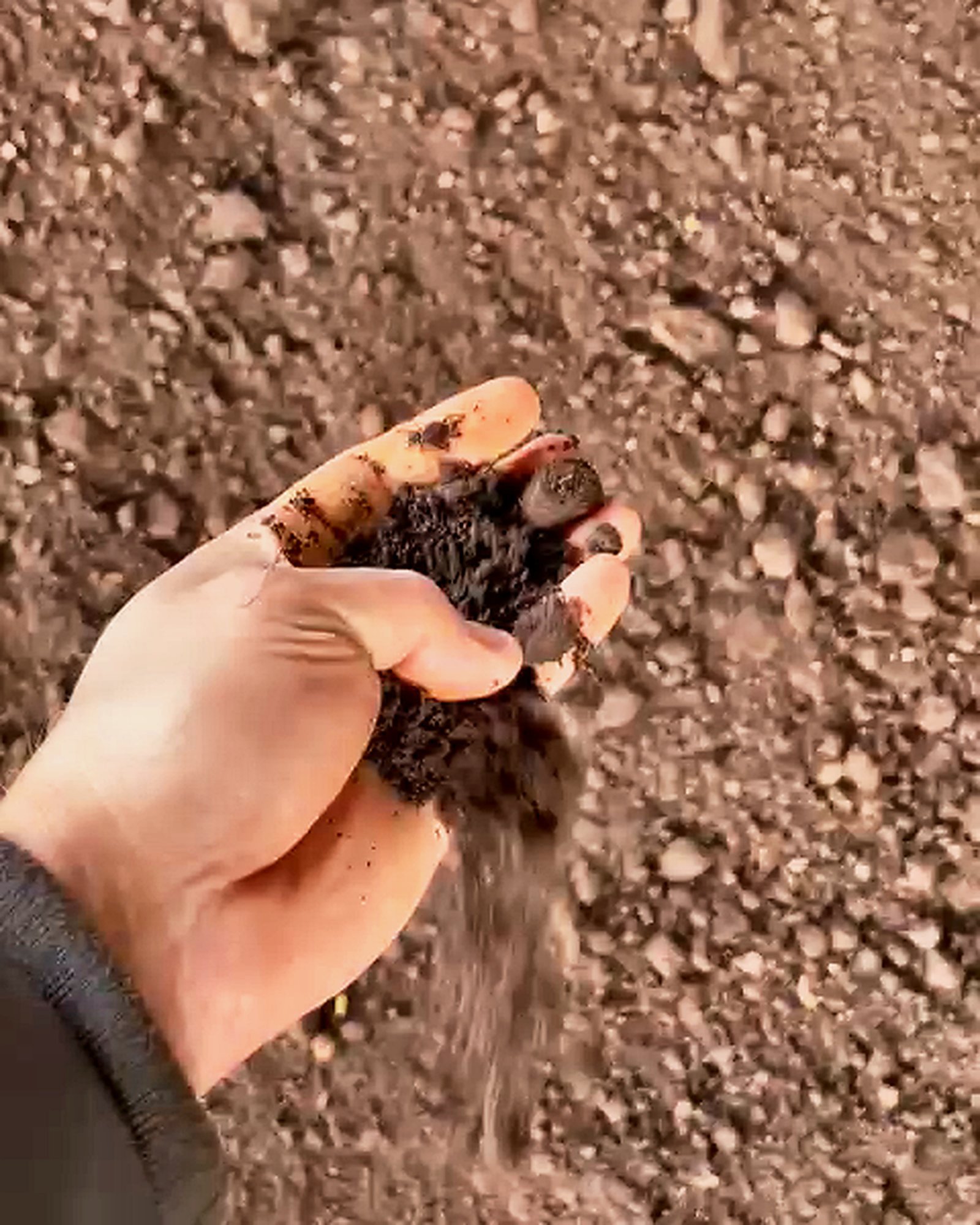 Leonardit – El ile doku kontrolü